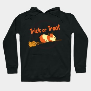 Hamster On Broom Trick Or Treat Hoodie